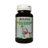 Rematogreen capsule